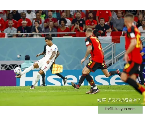 比利时阵容更新：欧洲杯前状态回暖，备受关注的核心球员齐聚一堂