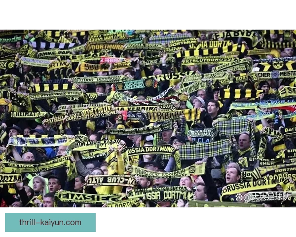 利兹联青训体系再添新星，未来之星表现亮眼，备受期待